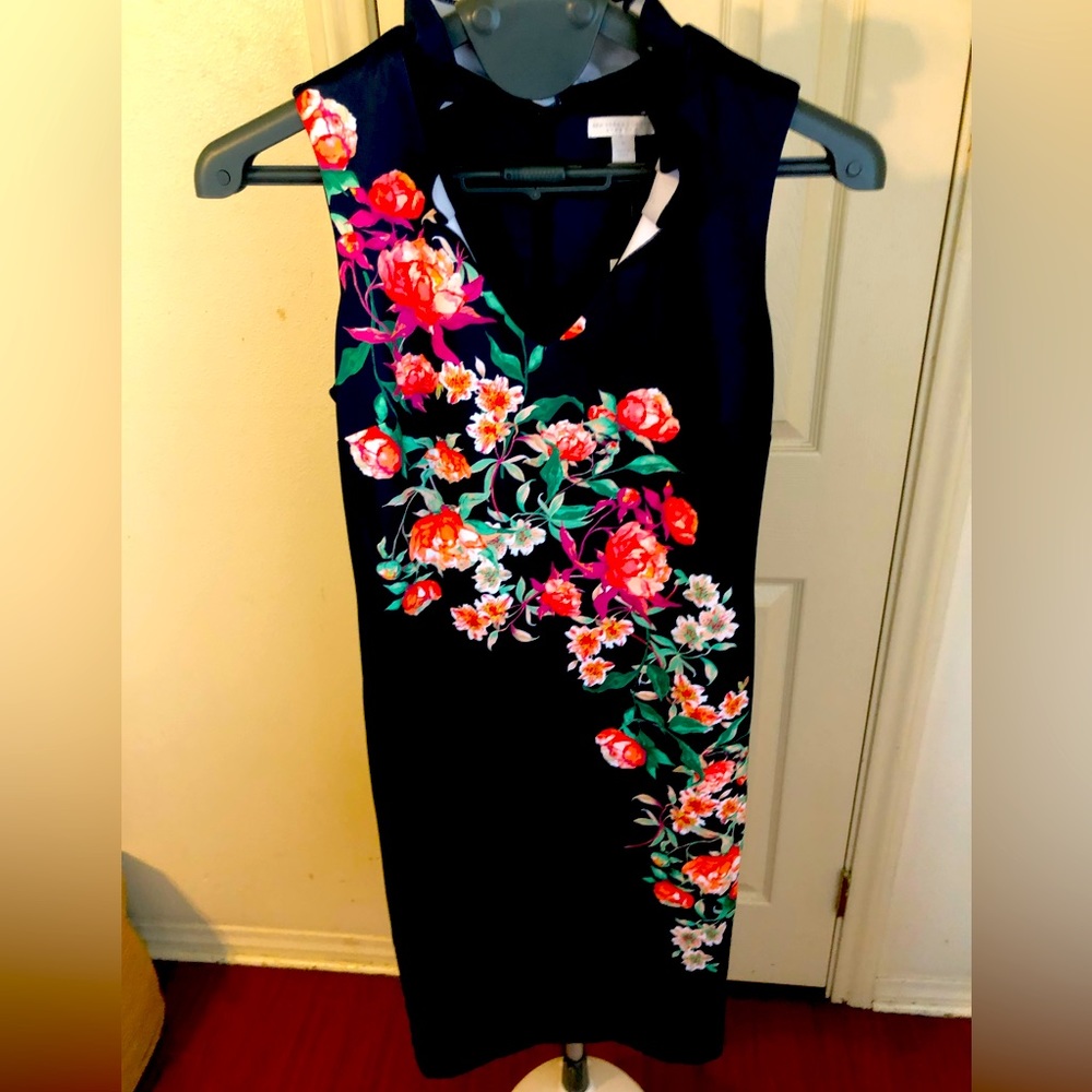 Navy, Floral, Stretch w/ Ruffled Collar
